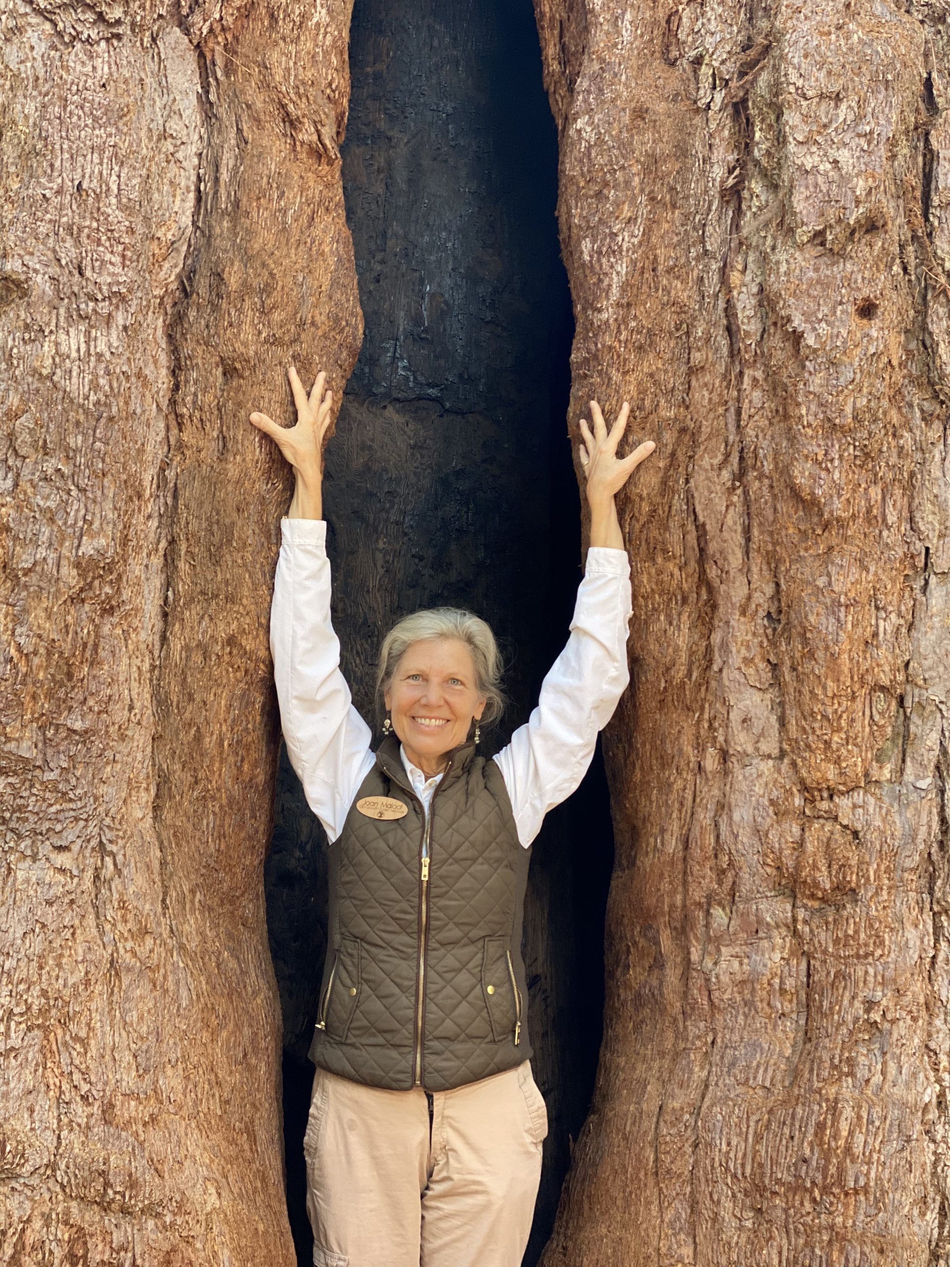She Founded an Organization that would Identify Old- Growth Forests and Save them from Depletion